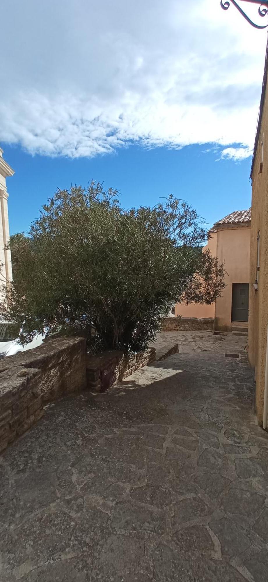 Studio Tout Confort En Provence Mont Ventoux. Bédoin Esterno foto