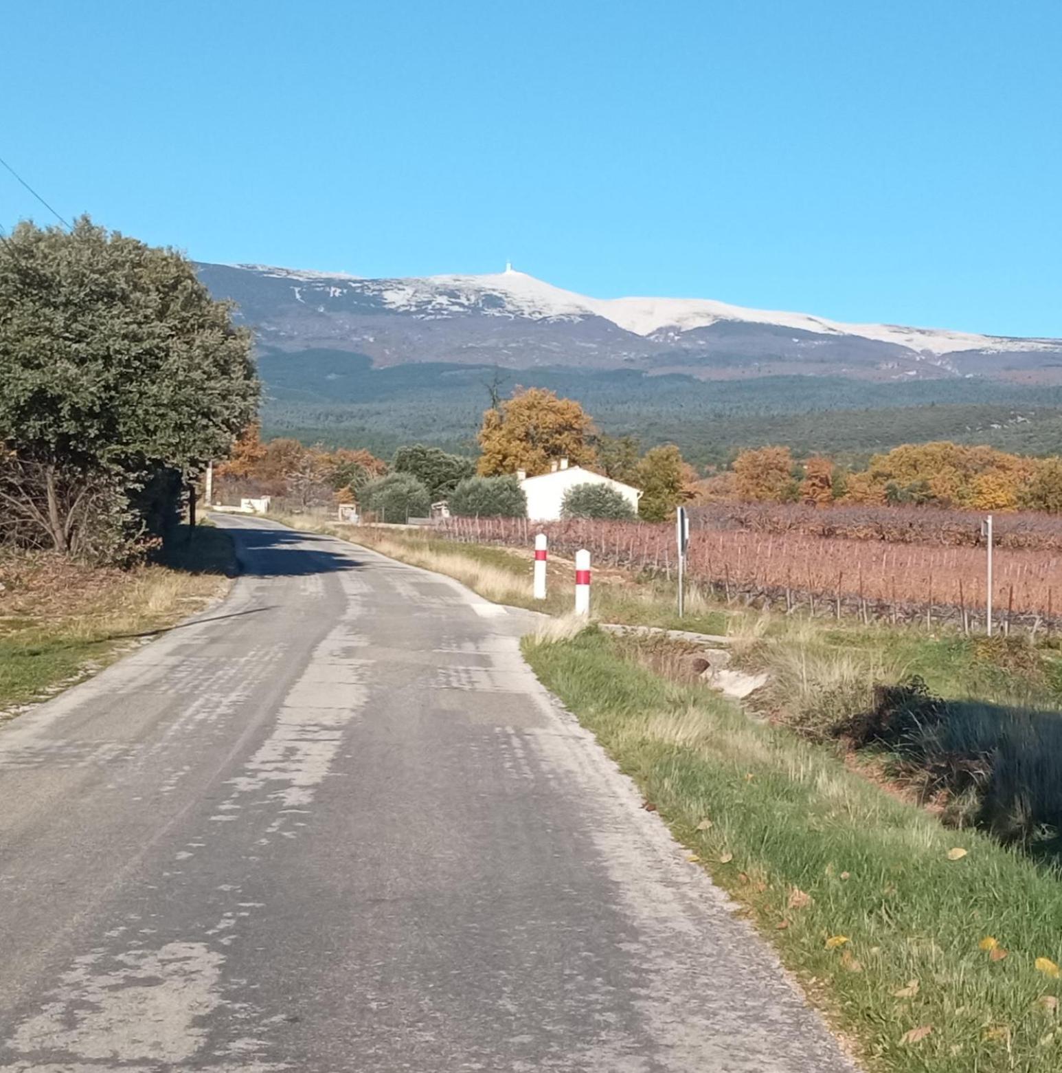 Studio Tout Confort En Provence Mont Ventoux. Bédoin Esterno foto